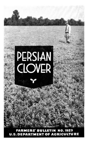 Persian Clover