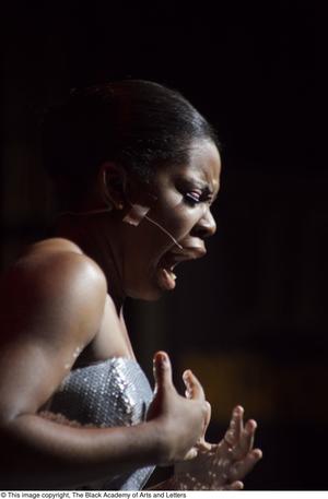 [Close-up of Performer Wearing Silver Dress]