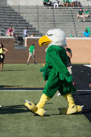 [UNT Mascot Scrappy the Eagle at Homecoming Game]
