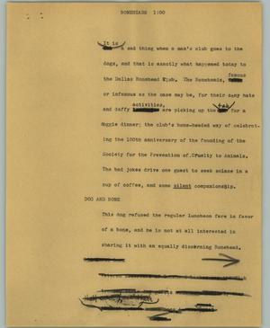 Primary view of object titled '[News Script: Boneheads]'.