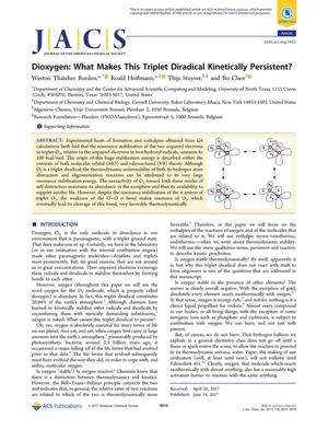 Dioxygen: What Makes This Triplet Diradical Kinetically Persistent?