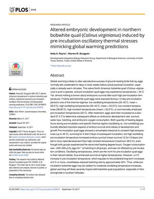 Altered embryonic development in northern bobwhite quail (Colinus virginianus) induced by pre-incubation oscillatory thermal stresses mimicking global warming predictions