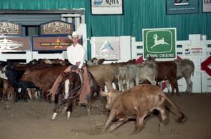 Cutting Horse Competition: Image 1997_D-100_09