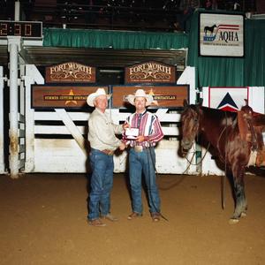 Cutting Horse Competition: Image 1997_D-622_08