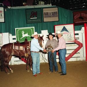 Cutting Horse Competition: Image 1997_D-628_09
