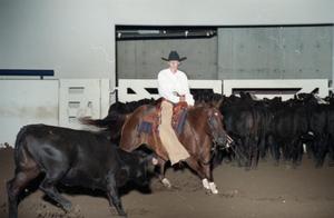 Cutting Horse Competition: Image 1997_D-6_04