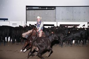 Cutting Horse Competition: Image 1997_D-6_21