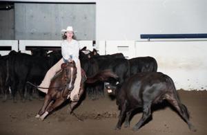Cutting Horse Competition: Image 1997_D-6_26