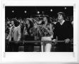 Photograph: [North Texas Football Spectators, Homecoming, 1983]