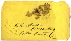 Primary view of [Envelope from George Wilson]