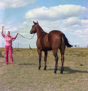 [Woman with Horse]