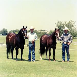 [Shorty And Bill Freeman With Horses]