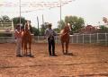 Photograph: [Men with Palomino Horses]