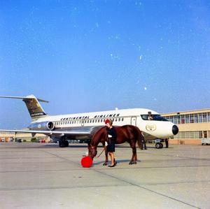 [Woman with Horse by Airplane]