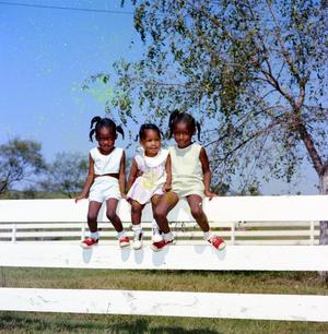 [Three young girls on a white fence]