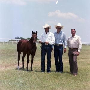 [Mike Hughes with Two Men and Foal]
