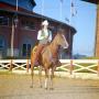 Primary view of [Woman with Horse at Illinois State Fair]