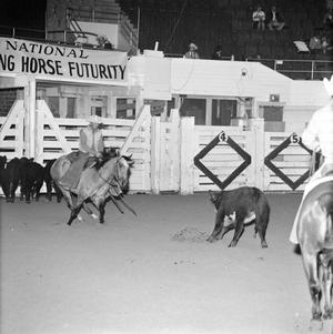 [Riding Through History: Millers Mindy at LSU, 1970]