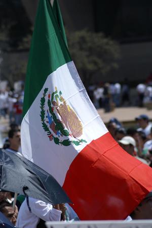 [Mexican Flag is displayed at protest march]