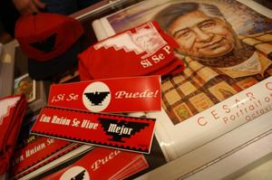 Primary view of object titled '[Bumper stickers and posters displayed at Cesar Chavez School]'.