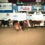 Photograph: [Cutting Horse Competition: Bisca Lena #2]