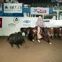 Photograph: [Cutting Horse Competition: Danas Last Fantasy #1]
