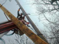 Primary view of [Worker replaces utility pole]