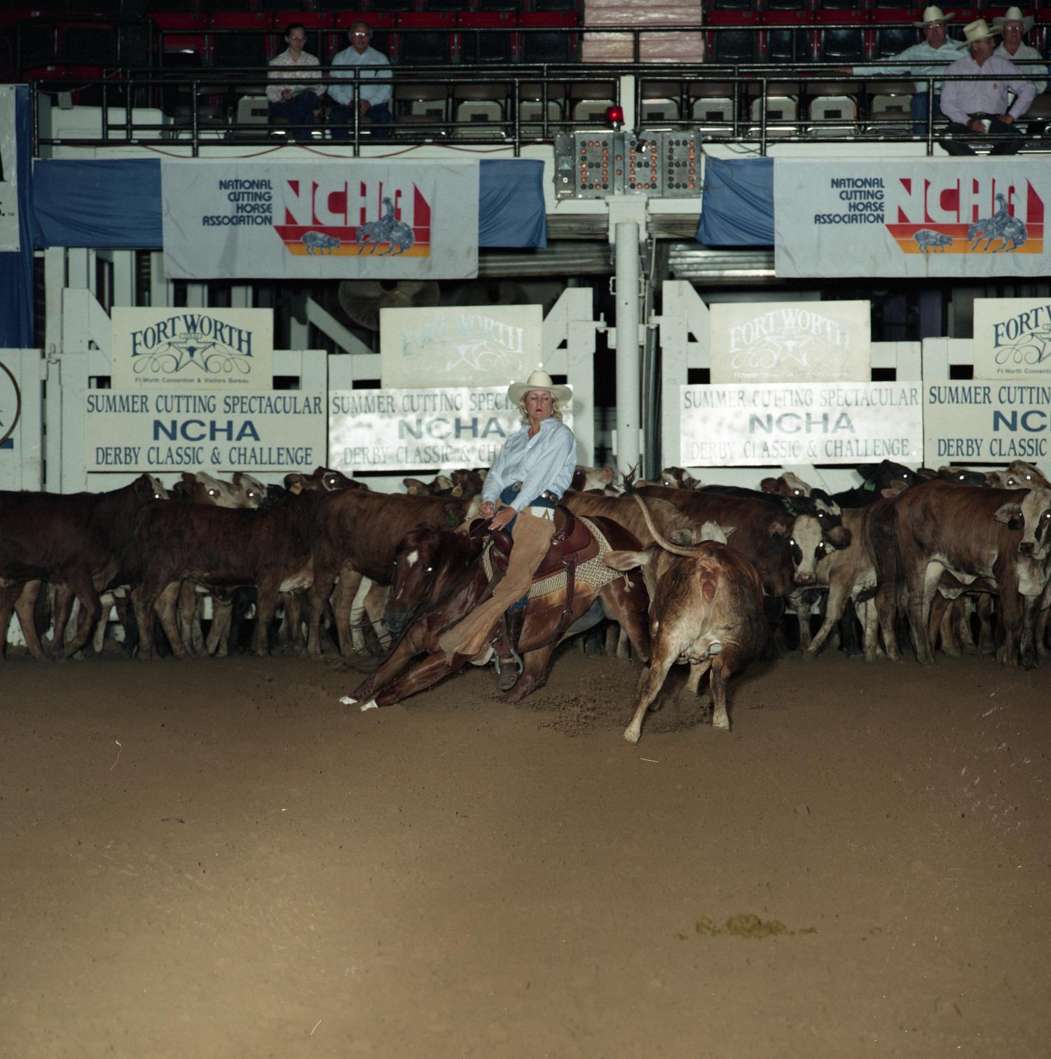 Cutting Horse Competition: Image 1991_D-215_04
                                                
                                                    [Sequence #]: 1 of 1
                                                