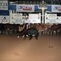 Thumbnail image of item number 1 in: 'Cutting Horse Competition: Image 1991_D-221_03'.