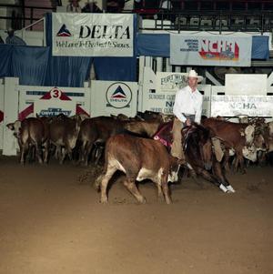 Primary view of object titled 'Cutting Horse Competition: Image 1991_D-239_08'.
