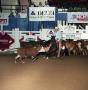 Primary view of Cutting Horse Competition: Image 1991_D-240_05