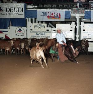 Cutting Horse Competition: Image 1991_D-240_09