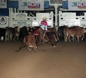 Cutting Horse Competition: Image 1991_D-241_01