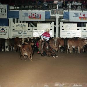 Cutting Horse Competition: Image 1991_D-241_02