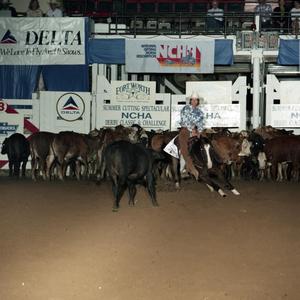 Cutting Horse Competition: Image 1991_D-241_06