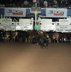 Cutting Horse Competition: Image 1991_D-241_08