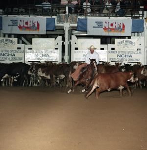 Cutting Horse Competition: Image 1991_D-241_11