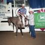 Photograph: Cutting Horse Competition: Image 1991_D-243_07