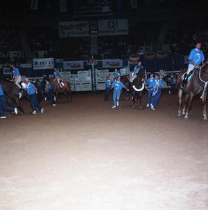 Cutting Horse Competition: Image 1991_D-247_08