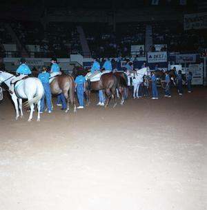 Cutting Horse Competition: Image 1991_D-247_09