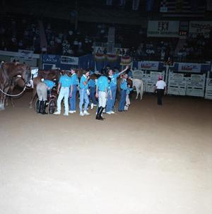Cutting Horse Competition: Image 1991_D-247_12