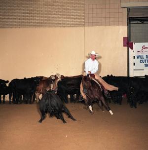 Cutting Horse Competition: Image 1991_D-25_08
