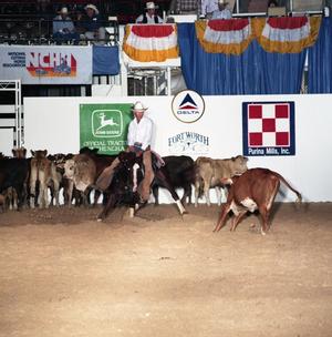 Cutting Horse Competition: Image 1991_D-29_02