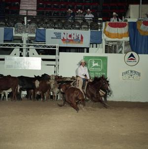Cutting Horse Competition: Image 1991_D-29_04