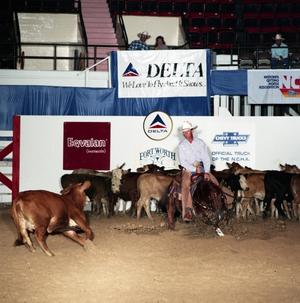 Cutting Horse Competition: Image 1991_D-29_12