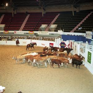 Cutting Horse Competition: Image 1991_D-2_03
