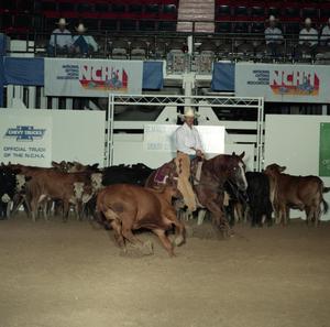 Cutting Horse Competition: Image 1991_D-30_06