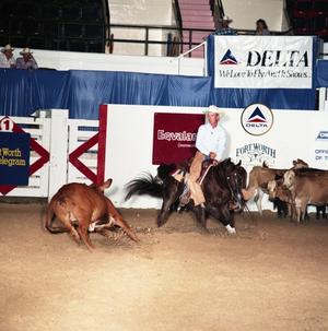 Cutting Horse Competition: Image 1991_D-30_09