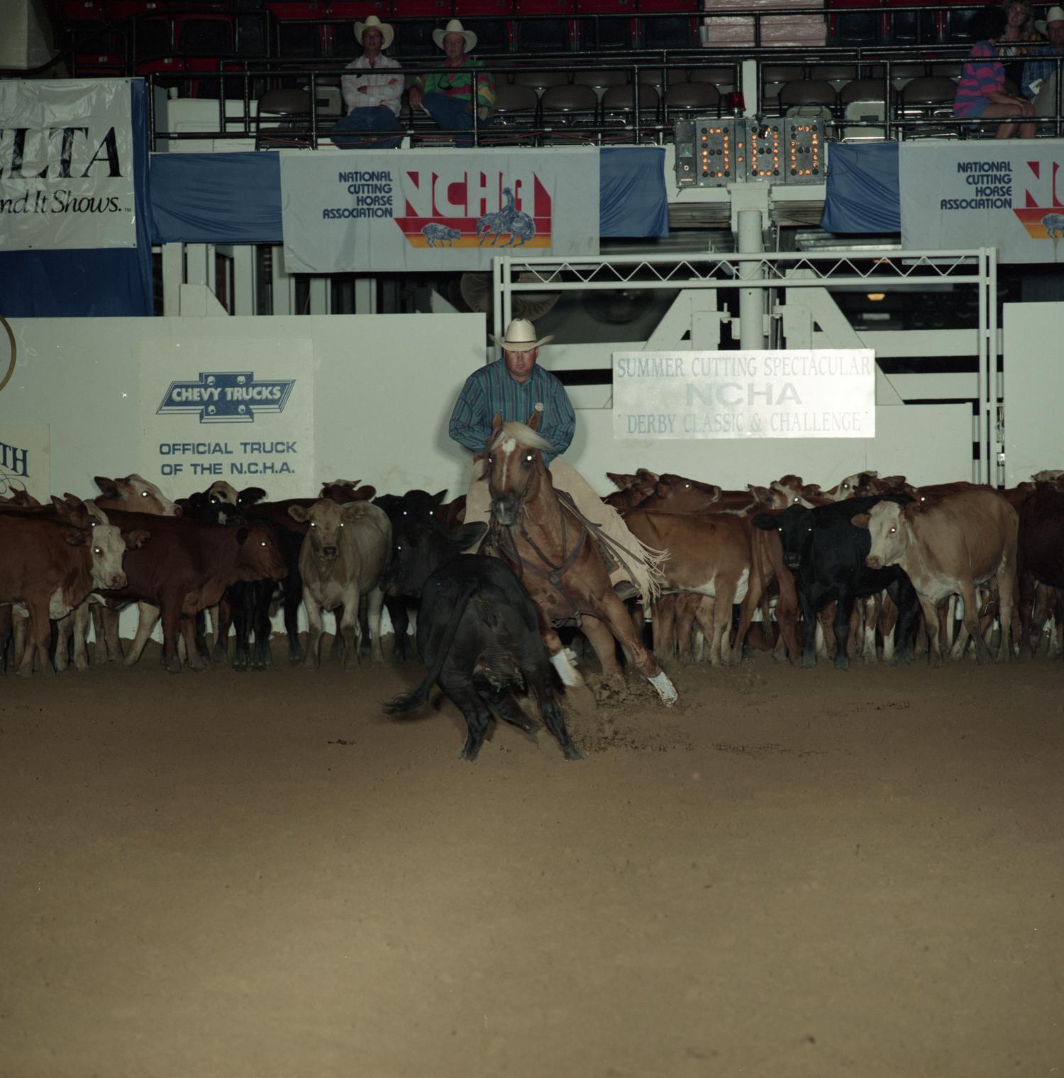 Cutting Horse Competition: Image 1991_D-52_02
                                                
                                                    [Sequence #]: 1 of 1
                                                