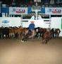 Thumbnail image of item number 1 in: 'Cutting Horse Competition: Image 1991_D-60_07'.